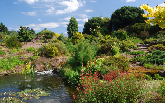 Botanic Garden